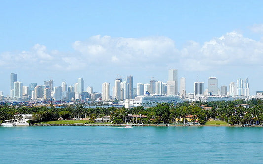 Latin Americans and the Miami Real Estate Market